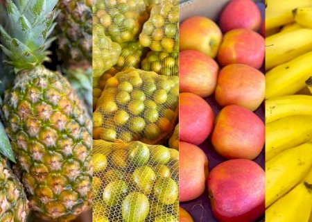 Explosão de cores e sabores: as frutas campeãs de vendas na Ceasa de Mato Grosso do Sul
