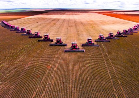 Financiamento climático abre novas oportunidades na cadeia da soja com impactos diretos na competitividade global
