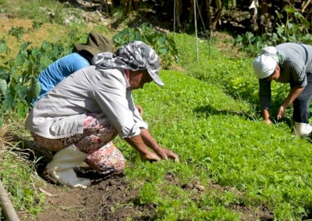 Impacto do tarifaço deve ser maior nas regiões Norte e Nordeste, avalia especialista