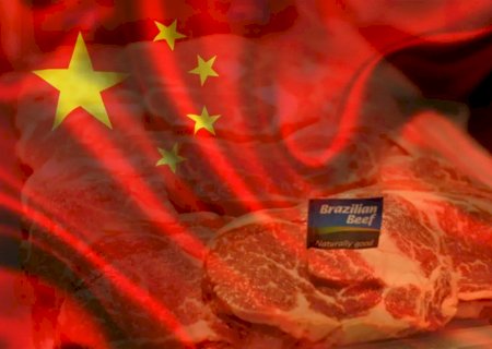 China bate recorde na produção de carnes no 1º semestre, favorecendo bovinos e suínos, mas pressionando aves