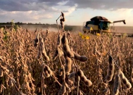 China troca soja dos EUA pela brasileira e pressiona agricultores americanos