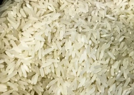 Programa de compra de arroz do governo não atende as necessidades do produtor