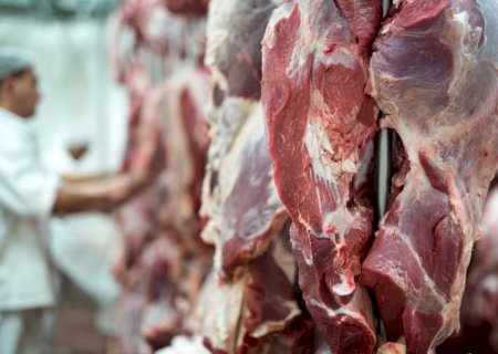 Acordo Mercosul-EFTA abre oportunidades para carnes, café e frutas do Brasil