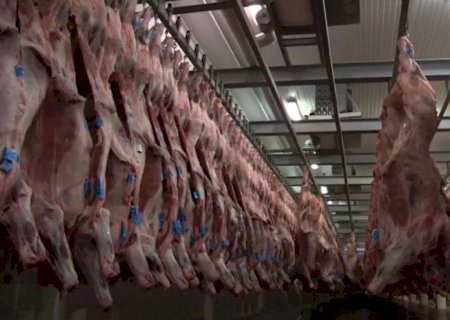 Pecuaristas dos EUA querem bloqueio das importações de carne bovina do Brasil