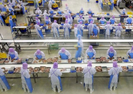 Exportação de carnes ignora Trump e cresce mais de 50% mesmo depois de tarifaço