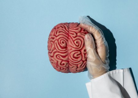 Entenda as promessas do medicamento recém-aprovado para câncer cerebral