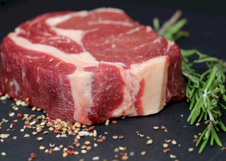 Exportação de carne bovina registra recorde em receita e volume