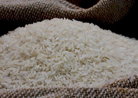 Preço do arroz atinge menor nível em 14 anos e preocupa produtores