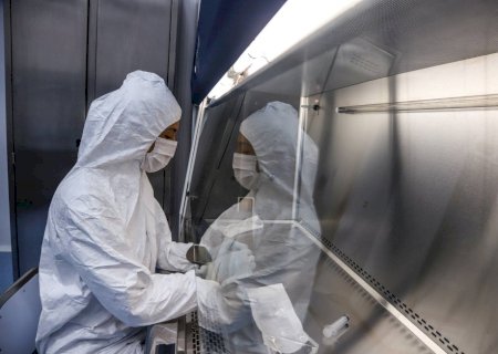 Terapia espanhola de células CAR-T para câncer no sangue pode vir para o Brasil