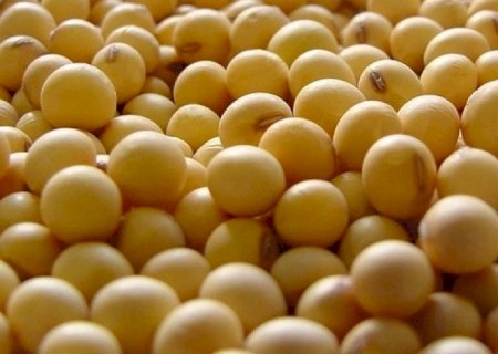China reduziu compras agrícolas dos EUA e Brasil ocupou mercado