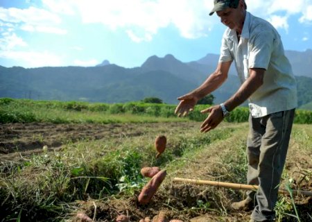 BNDES vai liberar R$ 12 bi para produtores rurais com perdas de safra