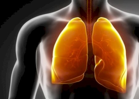 Quer respirar melhor? Então coma os alimentos certos