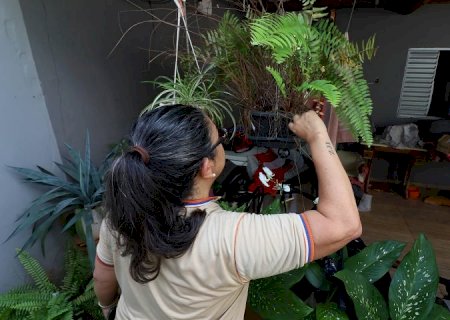 Contra o mosquito, todos do mesmo lado: Mato Grosso do Sul realiza Dia D de Combate à Dengue