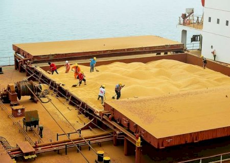 Consultoria projeta alta nas exportações e aumento dos estoques de soja