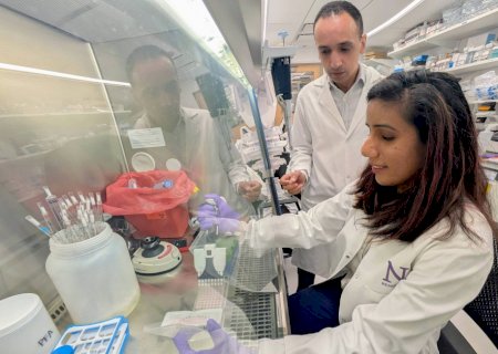 Pesquisadores desenvolvem anticorpo que reativa o sistema imunológico contra o câncer de pâncreas