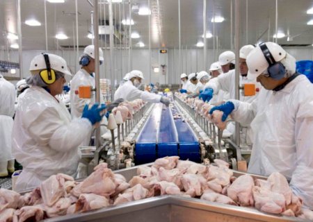 Preço da carne de frango se enfraquece; vendas seguem em bom ritmo