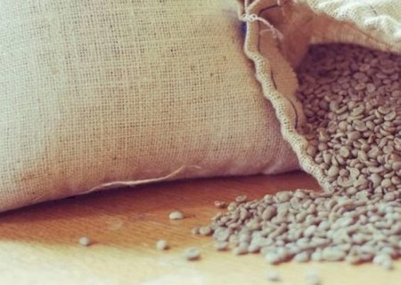 Exportações de café para os EUA devem se normalizar em seis meses