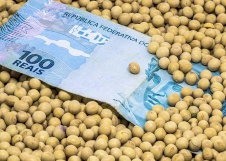 Agronegócio terá cenário desafiador em 2026, afirma consultoria