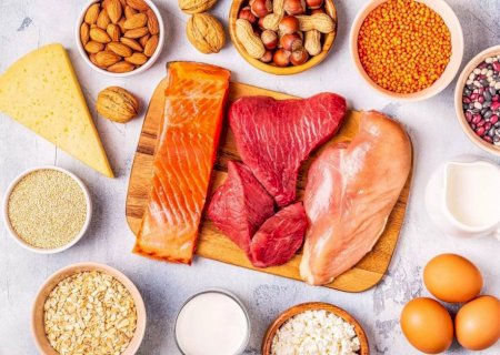 Proteína animal ou vegetal: nutricionista explica qual é melhor para a saúde e ganho de músculos