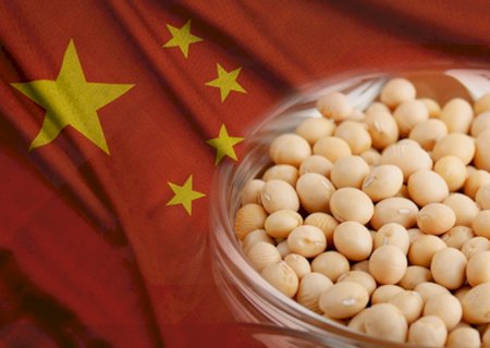 Compras chinesas de soja nos EUA custam caro e ampliam vantagem do Brasil