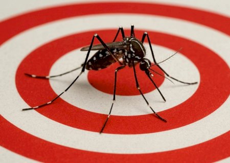 Tríplice Epidemia: Combate às arboviroses é fortalecido com campanha originada na Casa de Leis                   Renato Câmara é autor da lei que que criou o  Mês de Enfrentamento à Dengue, Zika e Chikungunya