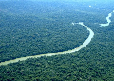 Humanos domesticaram mandioca, cacau, tabaco e açaí na Amazônia há 13 mil anos, mostra estudo