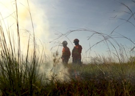 Operação Pantanal 2025 apresenta balanço com redução expressiva em focos de incêndios e hectares afetados