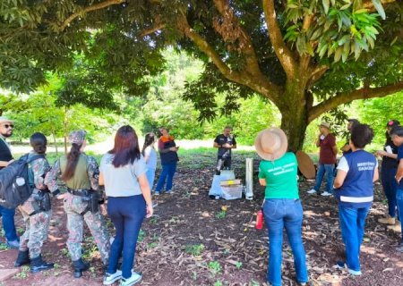 Treinamento reforça prevenção de arboviroses zoonóticas com foco na vigilância animal
