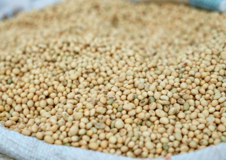 Agronegócio exporta US$ 13,4 bi em novembro e representa quase metade das vendas externas