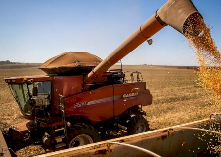 Safra recorde: Biond Agro projeta mais de 176 milhões de toneladas de soja no Brasil em 2025/26