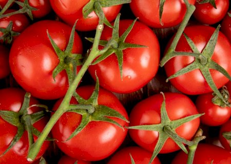 Veja quais alimentos ajudam a proteger a próstata e diminuir riscos de câncer