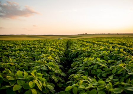 Mapa inédito revela intensificação do uso do solo e consolida 2ª safra como eixo da produção agrícola no Brasil