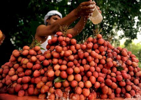 A hora e a vez da lichia: conheça nutrientes e benefícios da fruta que bomba no fim do ano