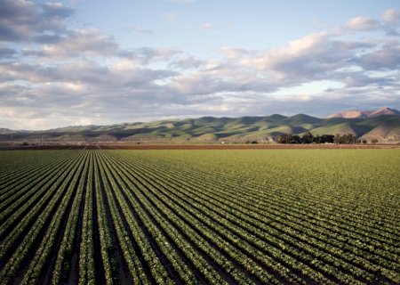 Mapeamento inédito do solo brasileiro permite aperfeiçoar planejamento estratégico do uso da terra