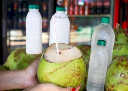 Calor aumenta demanda e água de coco vai de R$ 3,90 a R$ 29,50 em Campo Grande