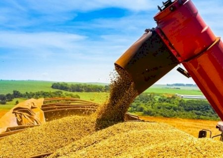 Conab revisa para baixo estimativa para a safra de grãos