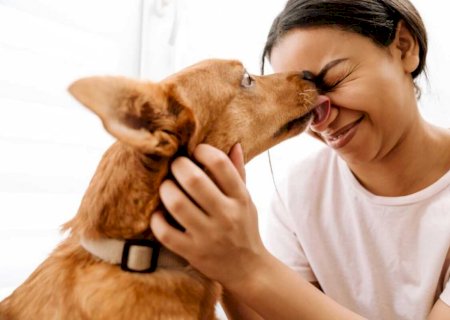 Lambidas de cachorros e gatos podem oferecer riscos à saúde humana