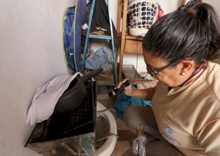 Boletim Epidemiológico: MS registra 23 casos confirmados de dengue