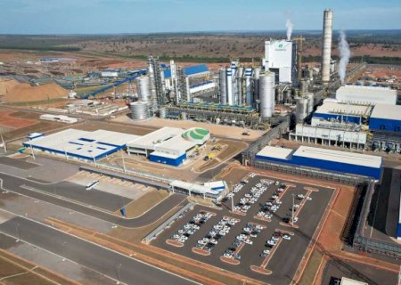 Queda no preço gera perda bilionária às fábricas de celulose de MS