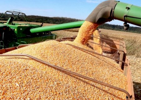 Safra de soja abre 300 vagas temporárias em Mato Grosso do Sul