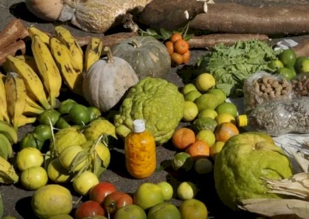 Saiba como adotar uma alimentação realmente saudável em 2026