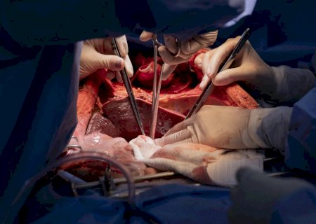 Droga para artrite reumatoide pode melhorar qualidade de rins para transplante