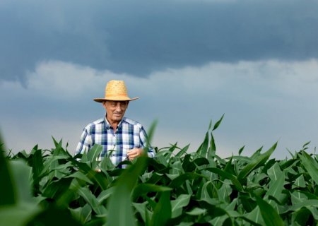 Produtor inicia 2026 sem garantia de recursos para seguro rural