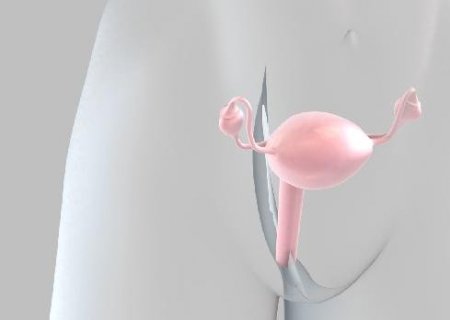 Depois de uma década, a ciência reacende a esperança no câncer de ovário | Letra de Médico