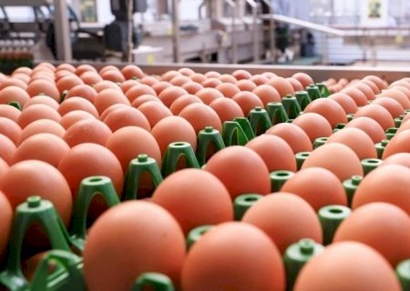 Exportações de ovos alcançaram recorde em 2025, com alta de 121%