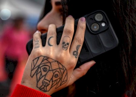 Tatuagens, toxinas e sistema imune: o que você precisa saber antes de fazer uma