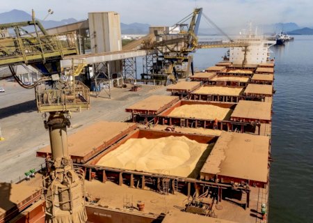 Carnes e café passam a dividir protagonismo com a soja nas exportações do agro