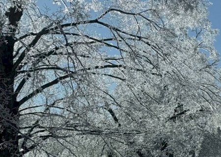 A importância de manter a cabeça quente no inverno