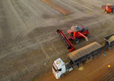 Inadimplência no agro avança em 2025 e acende alerta sobre crédito rural e fluxo de caixa