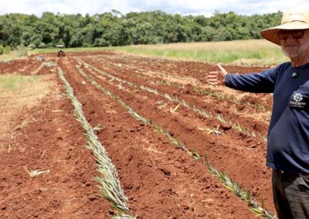 Aposentado encontra novo propósito no campo e transforma perdas em produção